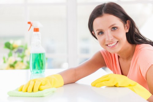 Carpet cleaning team preparing to restore a clean and fresh indoor floor surface
