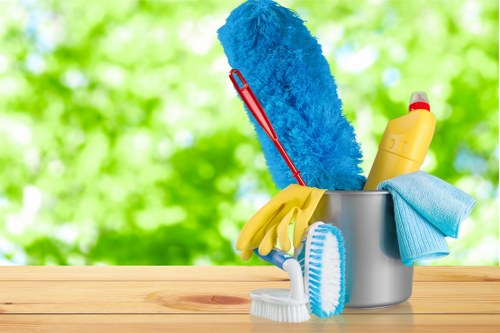 Secure carpet cleaning payment process with encrypted checkout