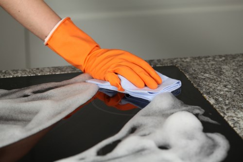 Risk assessment in progress before carpet cleaning at a property