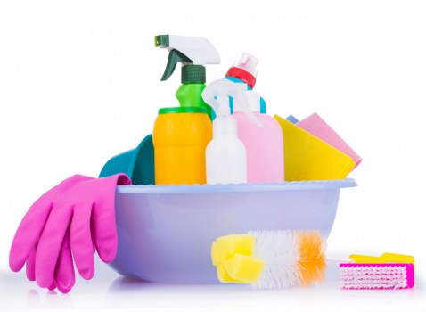 Carpet cleaning treatment for pet stain odour removal in Morden