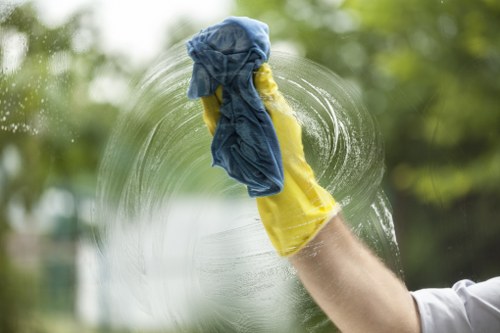Local carpet cleaners working carefully on a well-maintained residential carpet