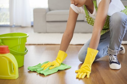 Enzyme cleaning treatment for stubborn pet urine stains in Morden
